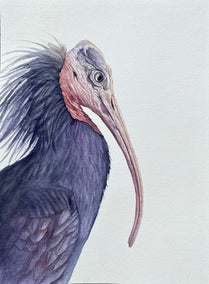 watercolor painting by Tetiana Savchenko titled Watching Closely