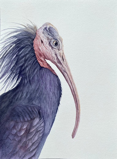Watching Closely by Tetiana Savchenko |  Artwork Main Image 