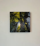 Original art for sale at UGallery.com | Forest Sunrise by Theresa Andreas-O'Leary | $725 | acrylic painting | 12' h x 12' w | thumbnail 3