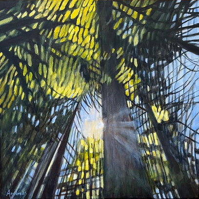 Forest Sunrise by Theresa Andreas-O