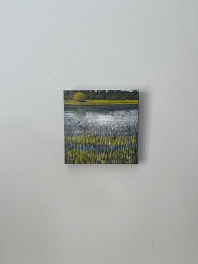 Peaceful Pond by Theresa Andreas-O