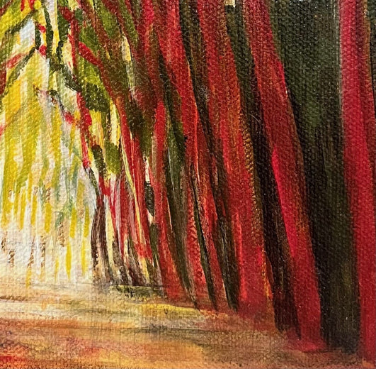 Illuminated Path by Theresa Andreas-O