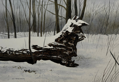 watercolor painting by Vic Roschkov titled Dark Timber
