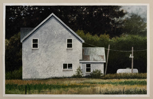 Distant Echoes by Vic Roschkov |  Context View of Artwork 