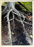 Original art for sale at UGallery.com | Entwined Roots by Vic Roschkov | $625 | watercolor painting | 23.5' h x 17' w | thumbnail 3