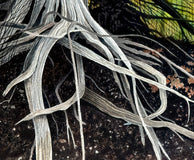 Original art for sale at UGallery.com | Entwined Roots by Vic Roschkov | $625 | watercolor painting | 23.5' h x 17' w | thumbnail 4