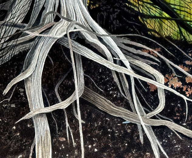 Entwined Roots by Vic Roschkov |   Closeup View of Artwork 