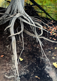 watercolor painting by Vic Roschkov titled Entwined Roots