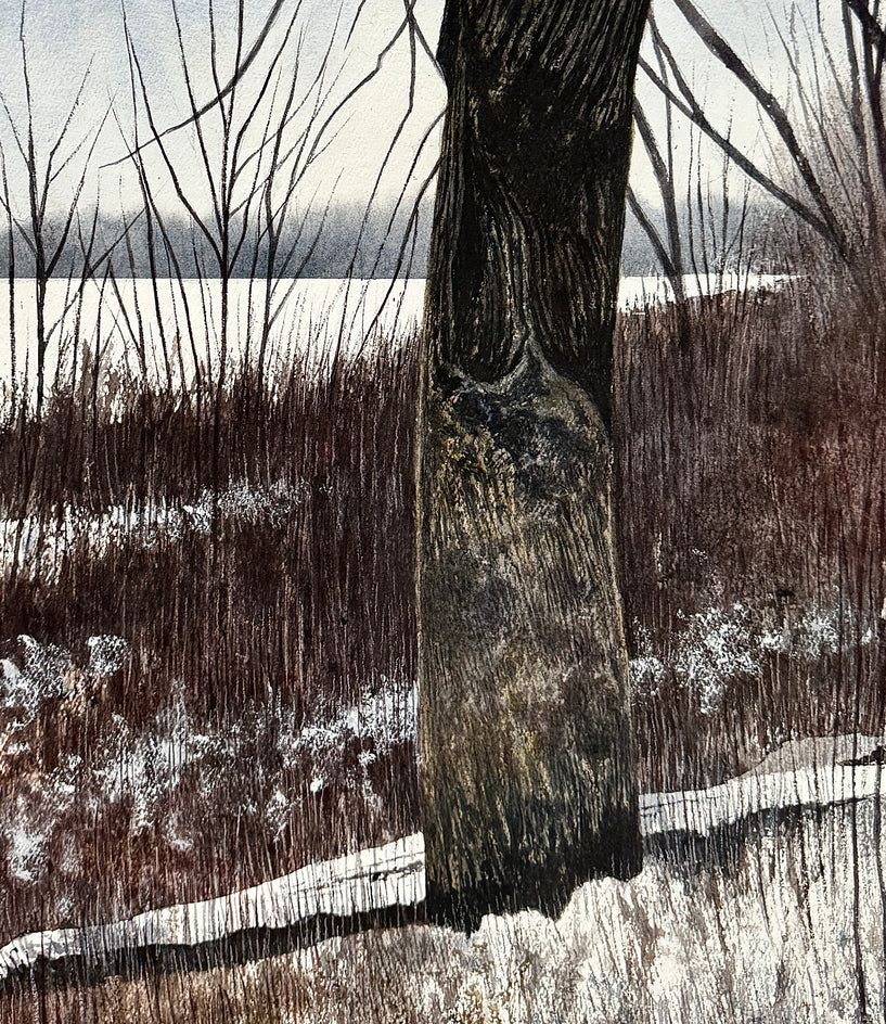 Frozen in Time by Vic Roschkov |  Closeup View of Artwork 