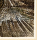Original art for sale at UGallery.com | Last Frost by Vic Roschkov | $775 | watercolor painting | 24.5' h x 18' w | thumbnail 2