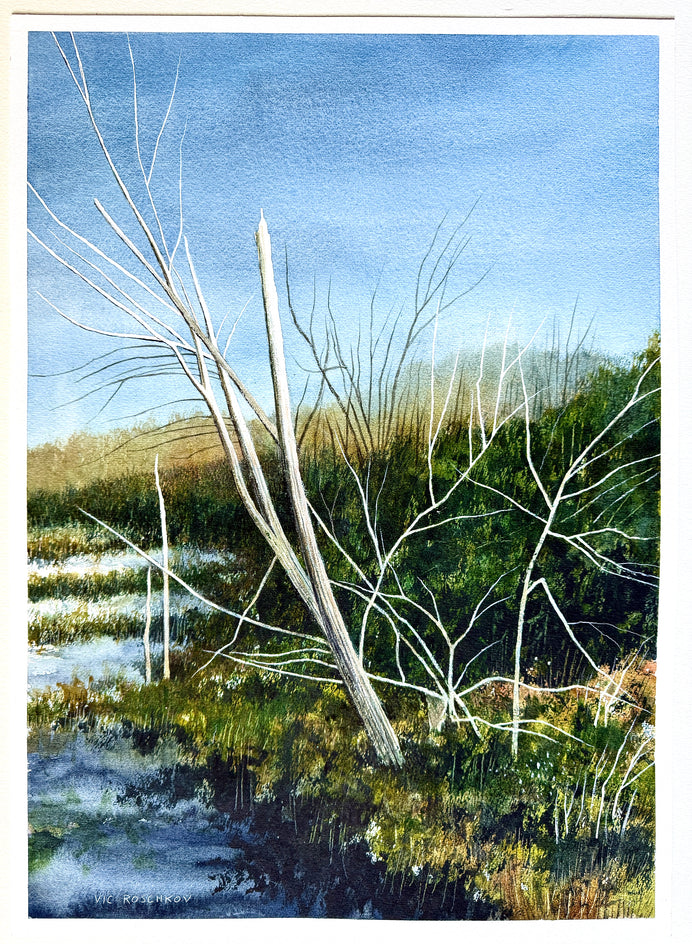Leaning Birch by Vic Roschkov |  Context View of Artwork 