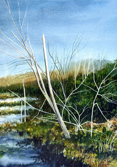Leaning Birch by Vic Roschkov | Artwork Main Image