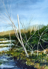 watercolor painting by Vic Roschkov titled Leaning Birch