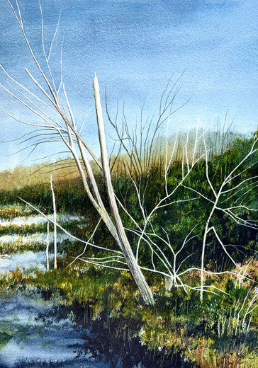Leaning Birch by Vic Roschkov |  Artwork Main Image 