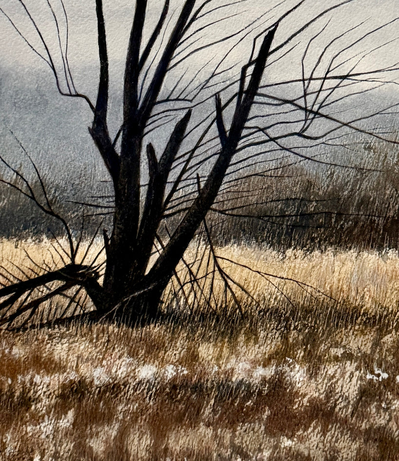 Light Breeze by Vic Roschkov |  Closeup View of Artwork 