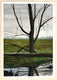 Original art for sale at UGallery.com | Mirror Image by Vic Roschkov | $575 | watercolor painting | 21' h x 14.5' w | thumbnail 3