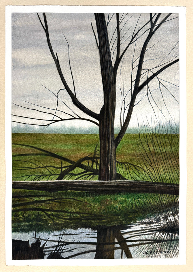 Mirror Image by Vic Roschkov |  Context View of Artwork 