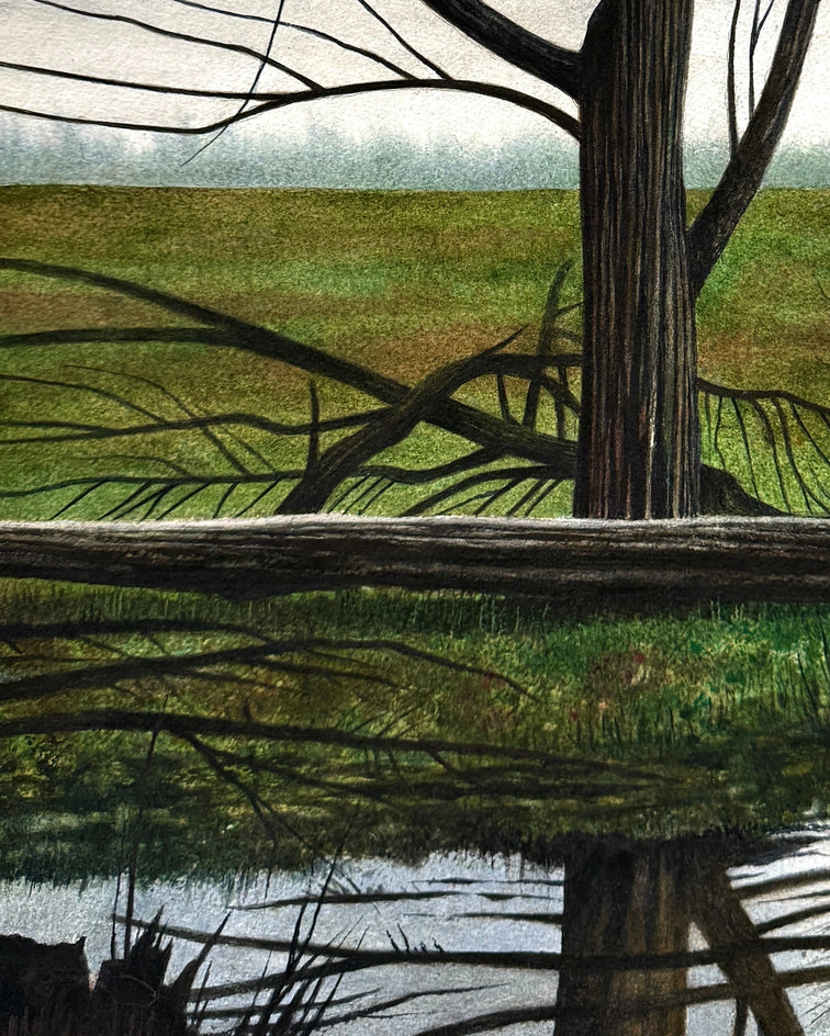 Mirror Image by Vic Roschkov |  Closeup View of Artwork 