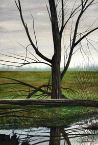 watercolor painting by Vic Roschkov titled Mirror Image