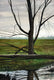 Original art for sale at UGallery.com | Mirror Image by Vic Roschkov | $575 | watercolor painting | 21' h x 14.5' w | thumbnail 1