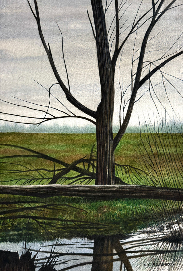 Mirror Image by Vic Roschkov |  Artwork Main Image 