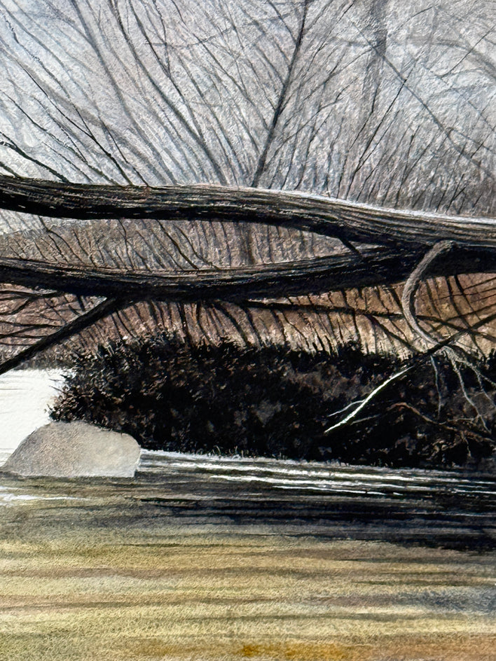 Natures Bridge by Vic Roschkov |  Closeup View of Artwork 