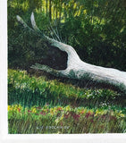 Original art for sale at UGallery.com | Pale Timber Silence by Vic Roschkov | $775 | watercolor painting | 15' h x 27' w | thumbnail 2