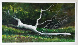 Original art for sale at UGallery.com | Pale Timber Silence by Vic Roschkov | $775 | watercolor painting | 15' h x 27' w | thumbnail 3