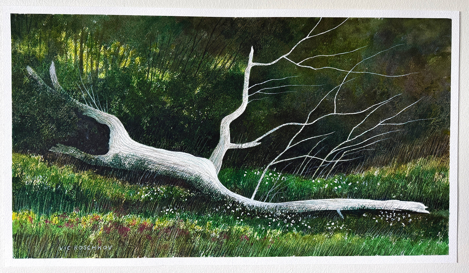 Pale Timber Silence by Vic Roschkov |  Context View of Artwork 