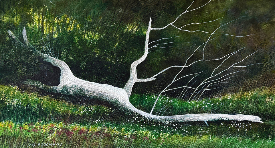 Pale Timber Silence by Vic Roschkov |  Artwork Main Image 