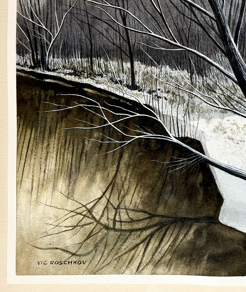 Silent Ravine by Vic Roschkov |  Side View of Artwork 