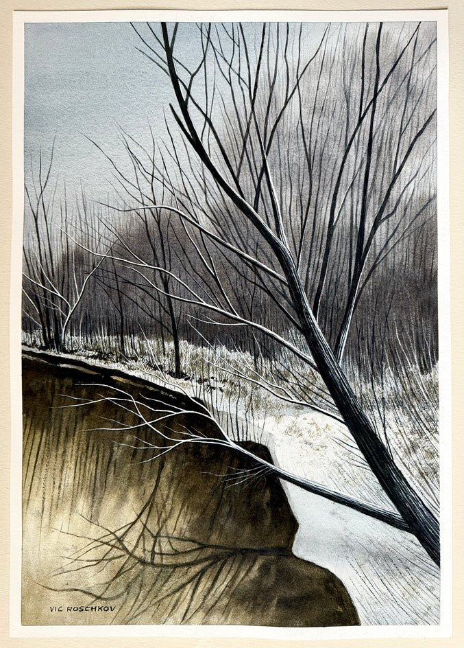 Silent Ravine by Vic Roschkov |  Context View of Artwork 