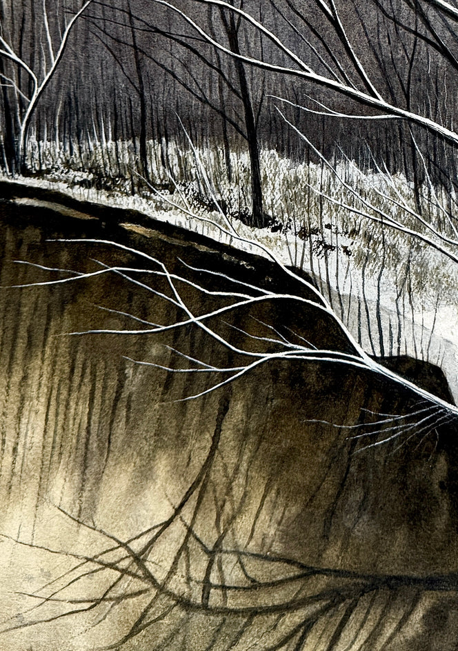 Silent Ravine by Vic Roschkov |  Closeup View of Artwork 