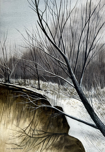 Silent Ravine by Vic Roschkov |  Artwork Main Image 