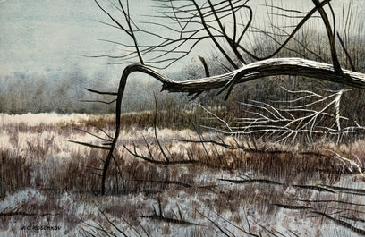 Winters Reach by Vic Roschkov | Artwork Main Image