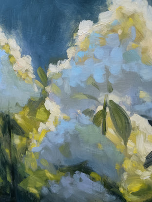 Backlit Lime Hydrangeas by Viktoria Majestic |   Closeup View of Artwork 
