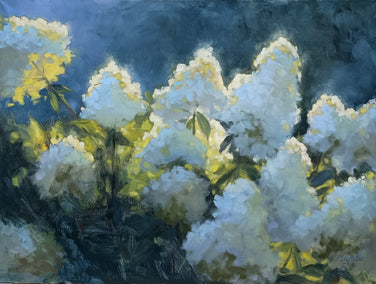 oil painting by Viktoria Majestic titled Backlit Lime Hydrangeas