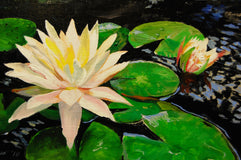 Original art for sale at UGallery.com | Yesterday and Today by Onelio Marrero | $625 | oil painting | 9' h x 16' w | thumbnail 4