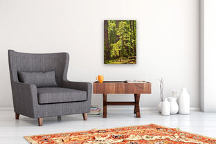 Bathed in Light by Crystal DiPietro |  In Room View of Artwork 