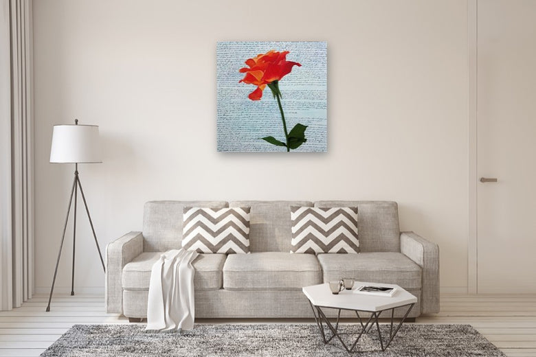 Delicate Fire by Maria Karla Watson |  In Room View of Artwork 