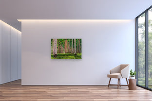 Aspens by Crystal DiPietro |  In Room View of Artwork 