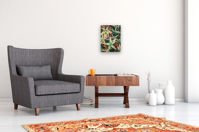 Succulent Stars by Jinny Tomozy |  In Room View of Artwork 