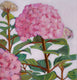 Original art for sale at UGallery.com | Flowering Pinks by Carey Parks | $575 | acrylic painting | 14' h x 11' w | thumbnail 4
