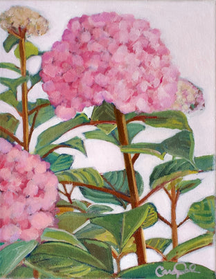 Flowering Pinks by Carey Parks |  Artwork Main Image 