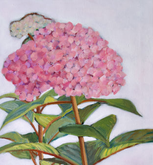 Large Pink Bloom by Carey Parks |   Closeup View of Artwork 
