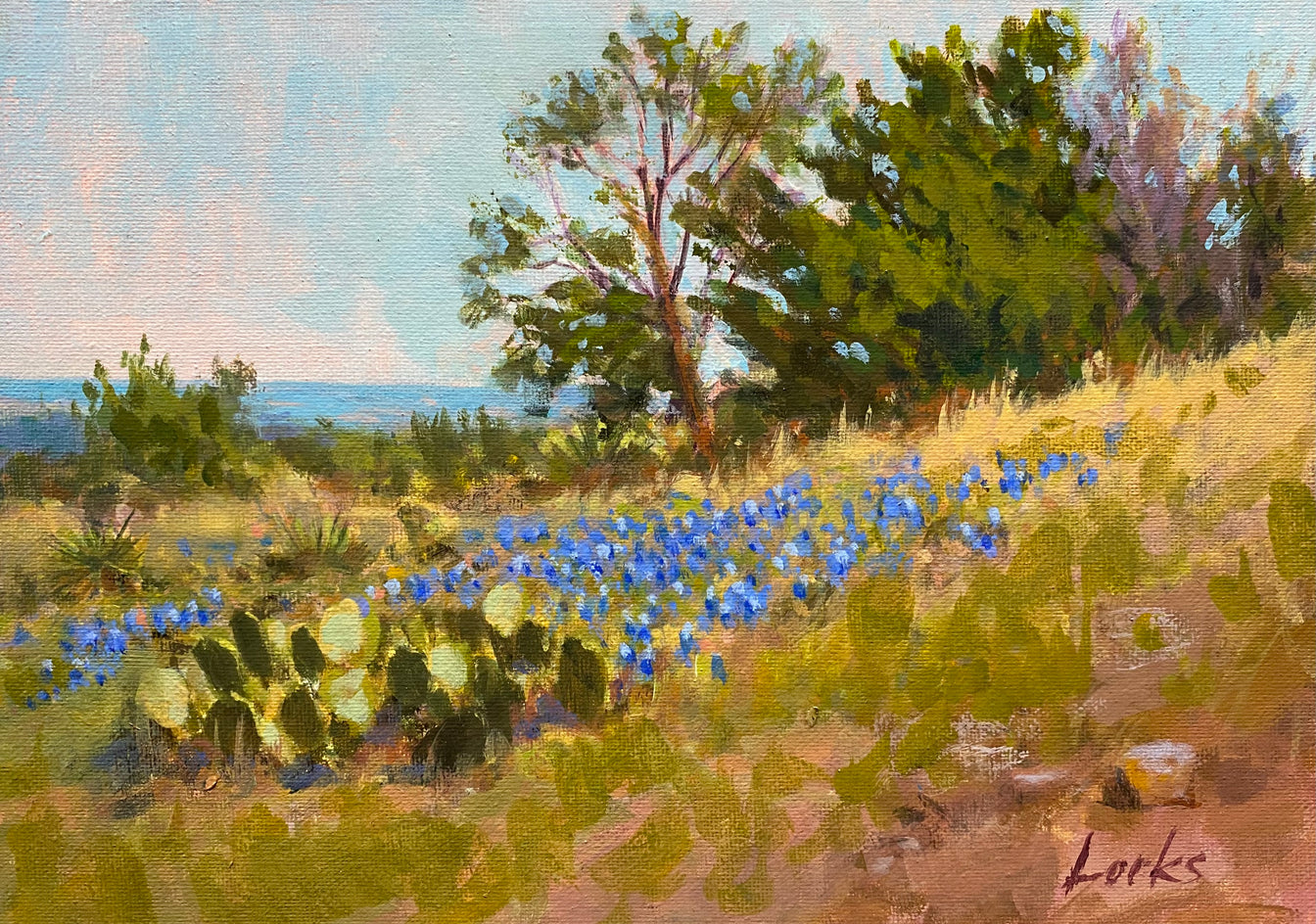 Cedar Vista by David Forks |  Artwork Main Image 