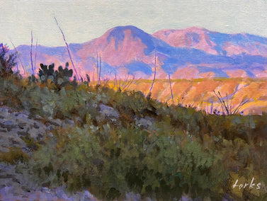 acrylic painting by David Forks titled Desert Light