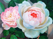 Original art for sale at UGallery.com | Rose & Thorns No.2 by Guigen Zha | $1,700 | oil painting | 24' h x 30' w | thumbnail 4