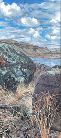 acrylic painting by Henry Caserotti titled Snake River Canyon