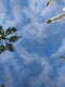 Original art for sale at UGallery.com | Evening Sails by Jesse Aldana | $1,400 | oil painting | 36' h x 18' w | thumbnail 4